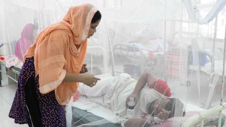 Dengue Deaths in Bangladesh Exceed 400 Amid Alarming Outbreak Informer.com.