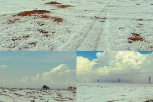 Rare Snowfall Transforms Al-Jawf Desert into a Winter Wonderland in Saudi Arabia