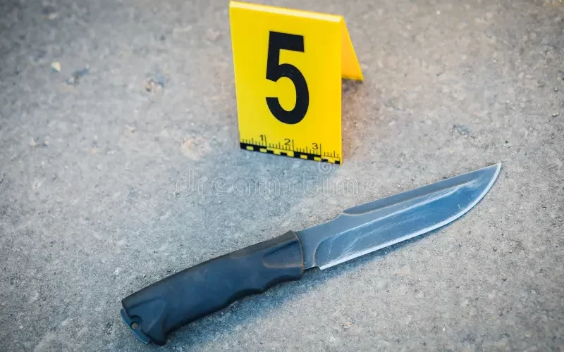 Tragic Stabbing Spree in New York City Leaves Two Dead, One Injured